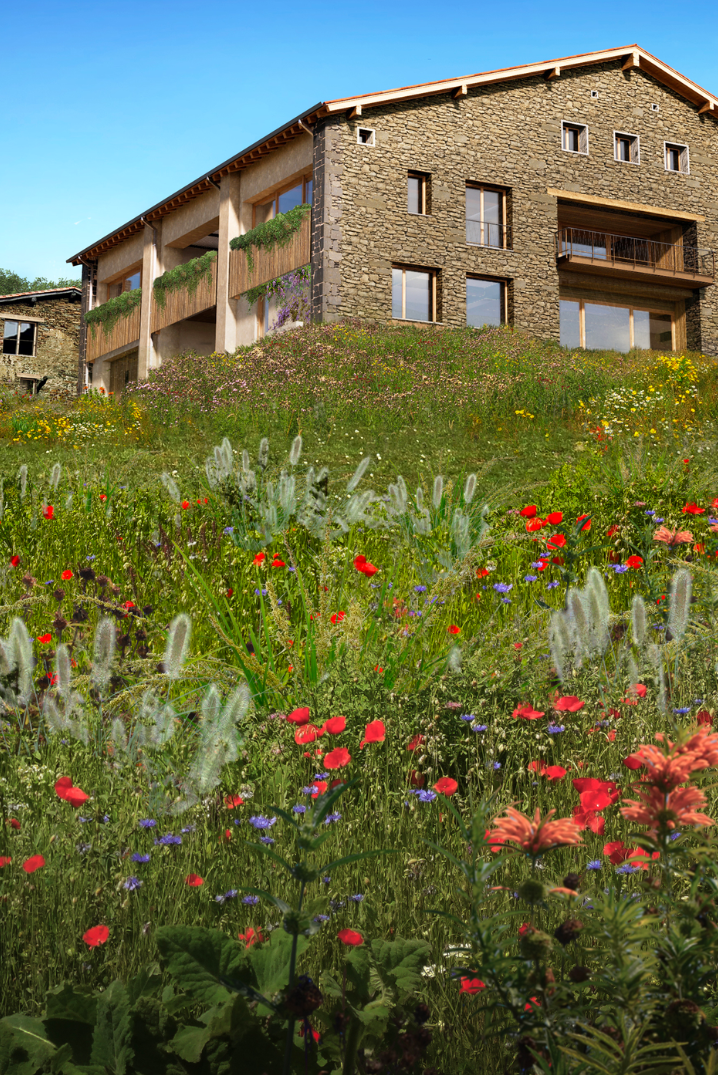 BASQUE FARM / Basque Country